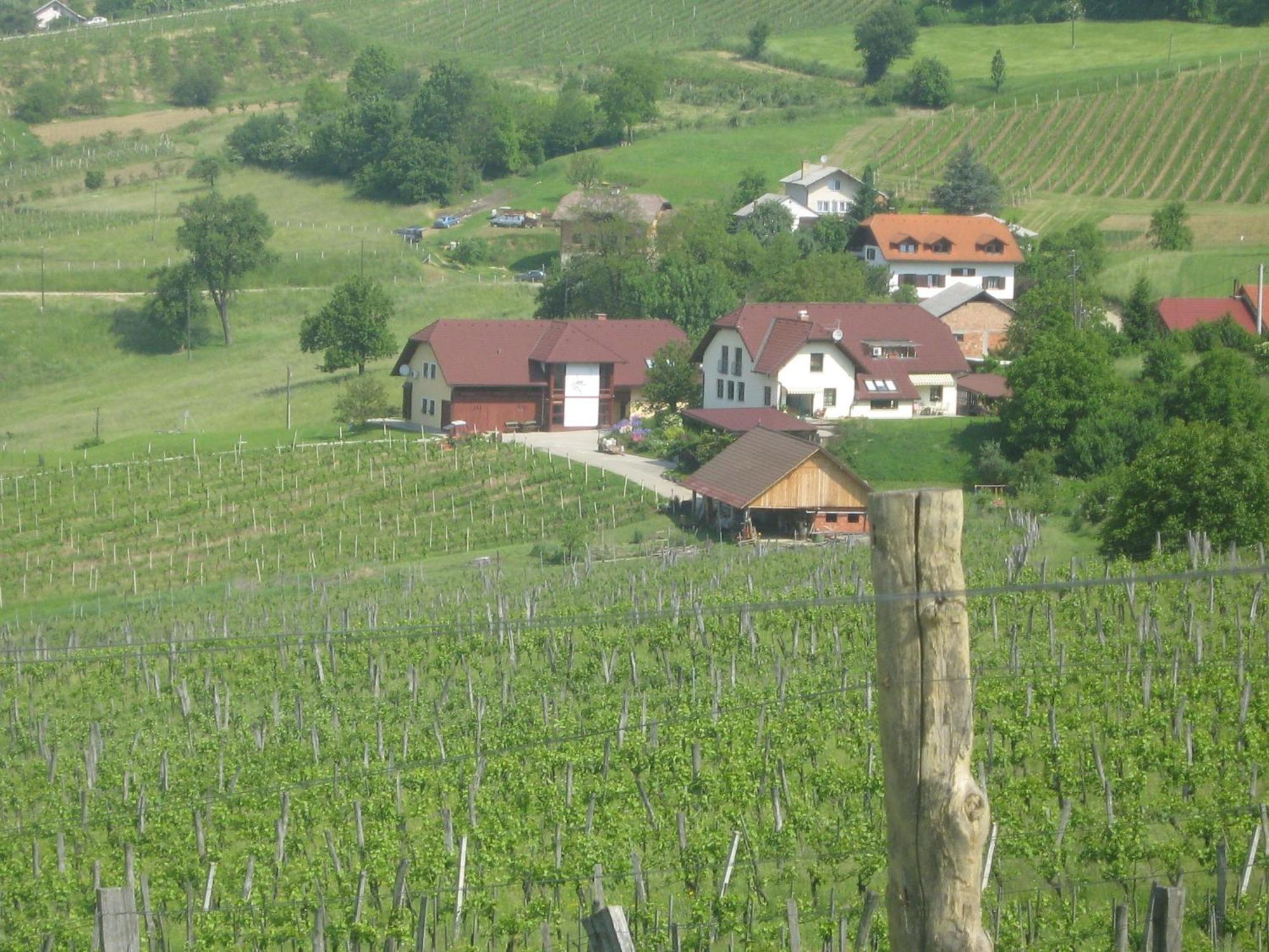 Tourist Farm Joannes Maribor Exterior foto